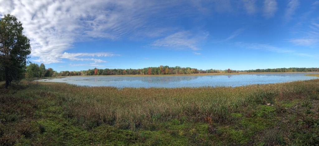 Sandhill Wildlife Area | | Wisconsin DNR