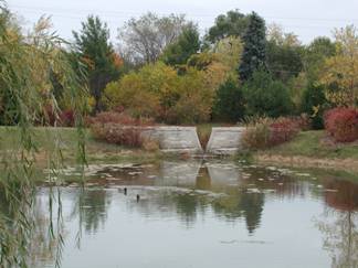 Storm water pond surrounded by grass and trees